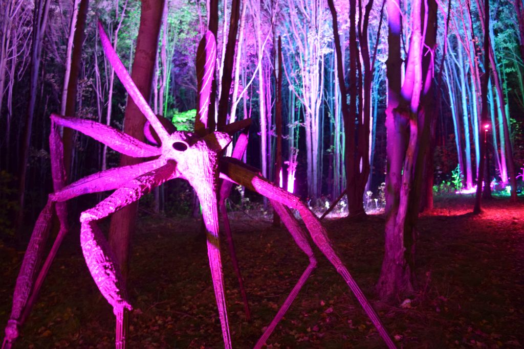 NIGHT LIGHTS returns to Griffis Sculpture Park for sixth year