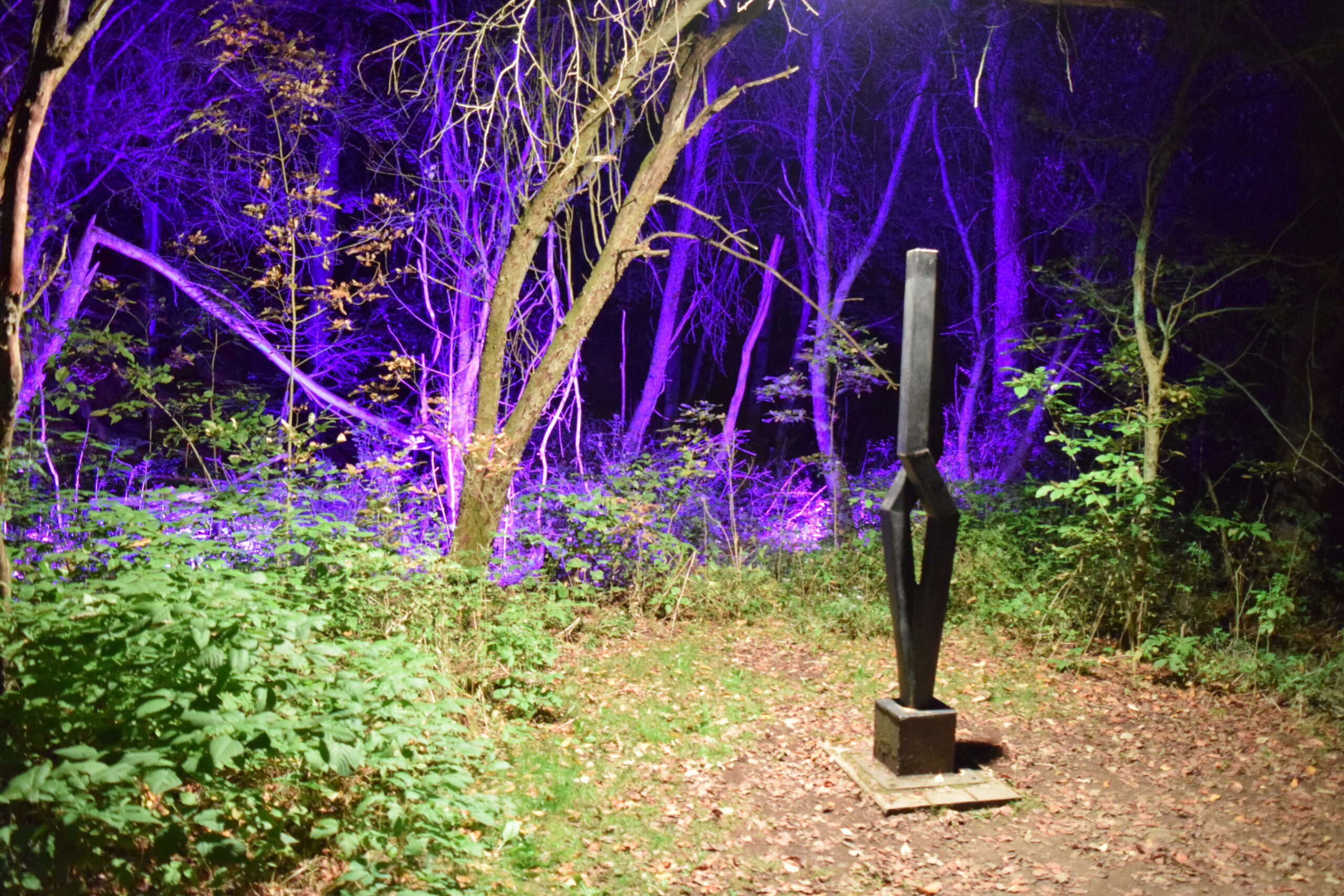 SitlerHQ’s preview video of NIGHT LIGHTS at Griffis Sculpture Park