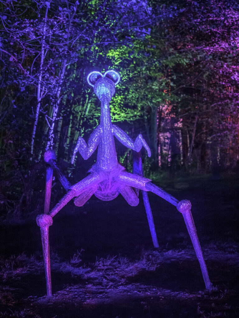 large praying mantis sculpture in led lights