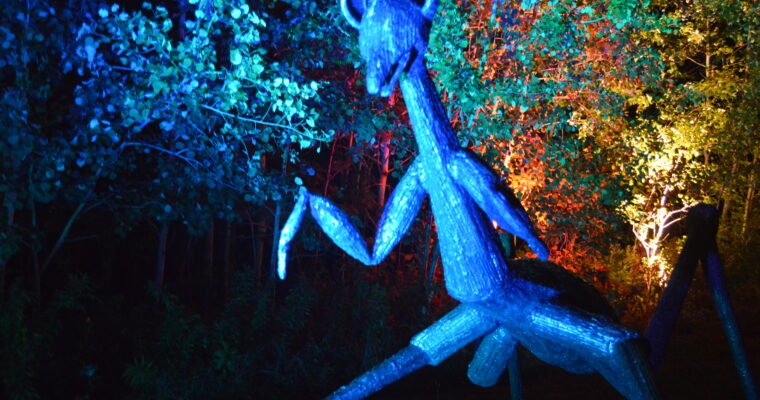 NIGHT LIGHTS at Griffis Sculpture Park 2022 promo video
