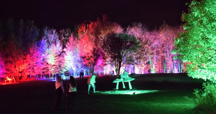Thank you!!! NIGHT LIGHTS at Griffis Sculpture Park 2022