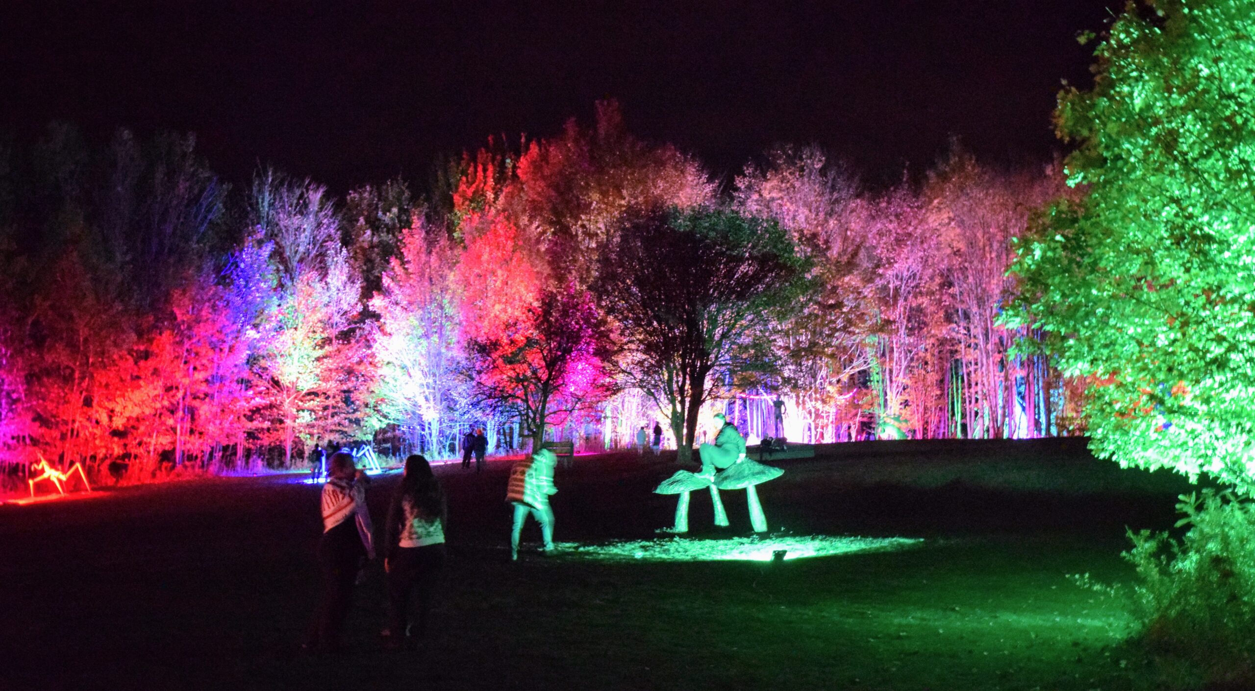 Thank you!!! NIGHT LIGHTS at Griffis Sculpture Park 2022