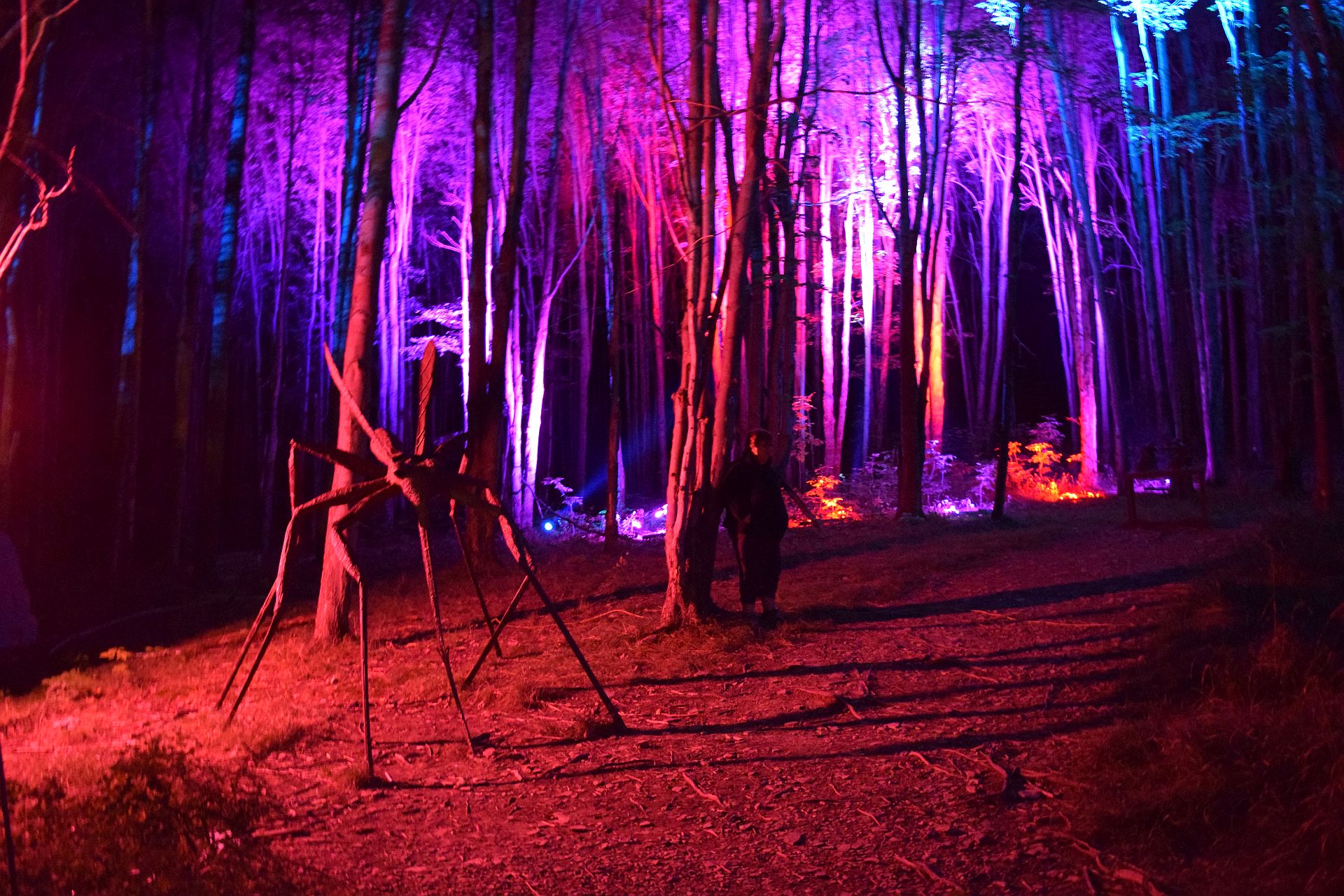 Press Release: NIGHT LIGHTS returns to Griffis Sculpture Park for fifth year