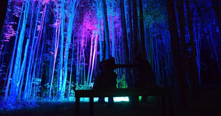 Wonderful 5th season of NIGHT LIGHTS at Griffis Sculpture Park just concluded.