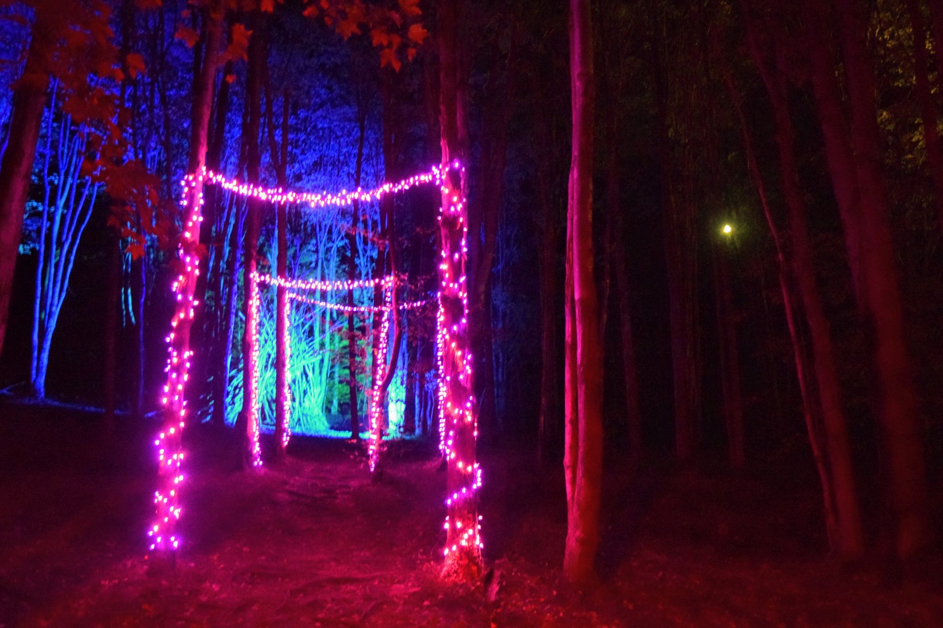 Photos from NIGHT LIGHTS at Griffis Sculpture Park - SitlerHQ