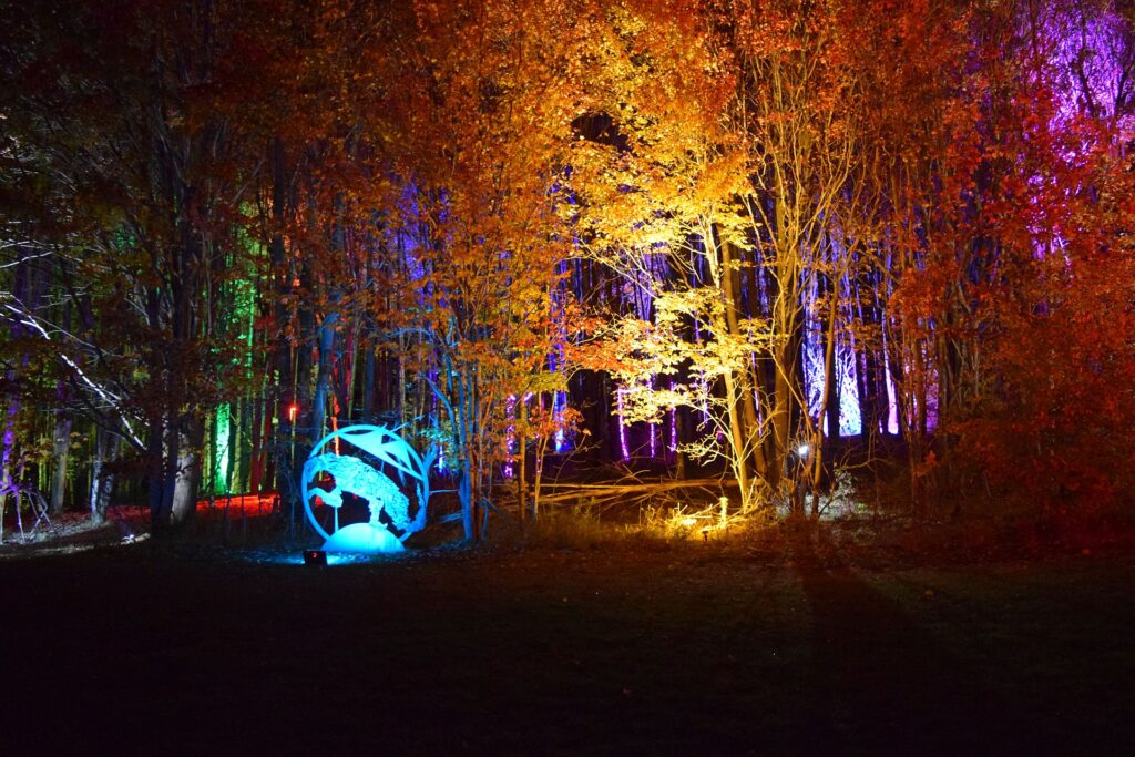 sculpture park illuminated in colorful lighting