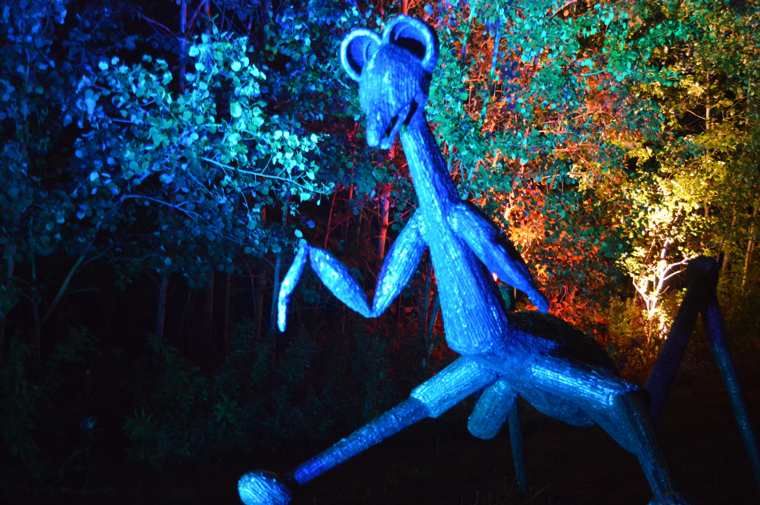 The return of NIGHT LIGHTS at Griffis Sculpture Park